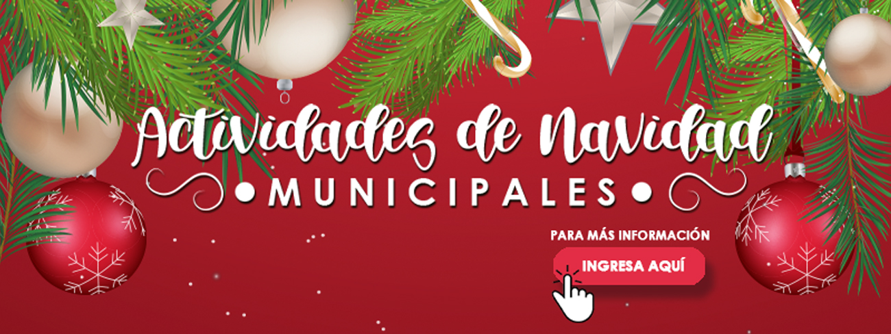 Actividades de Navidad Municipales