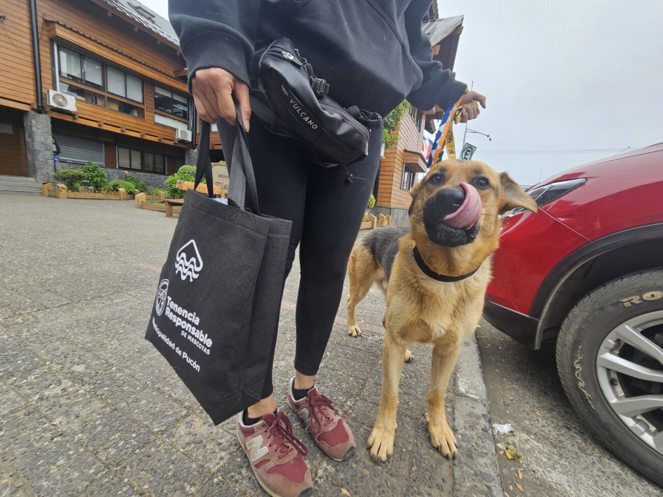 ÉXITO EN OPERATIVO PARA PERROS COMUNITARIOS DURANTE IRONMAN 70.3 EN PUCÓN