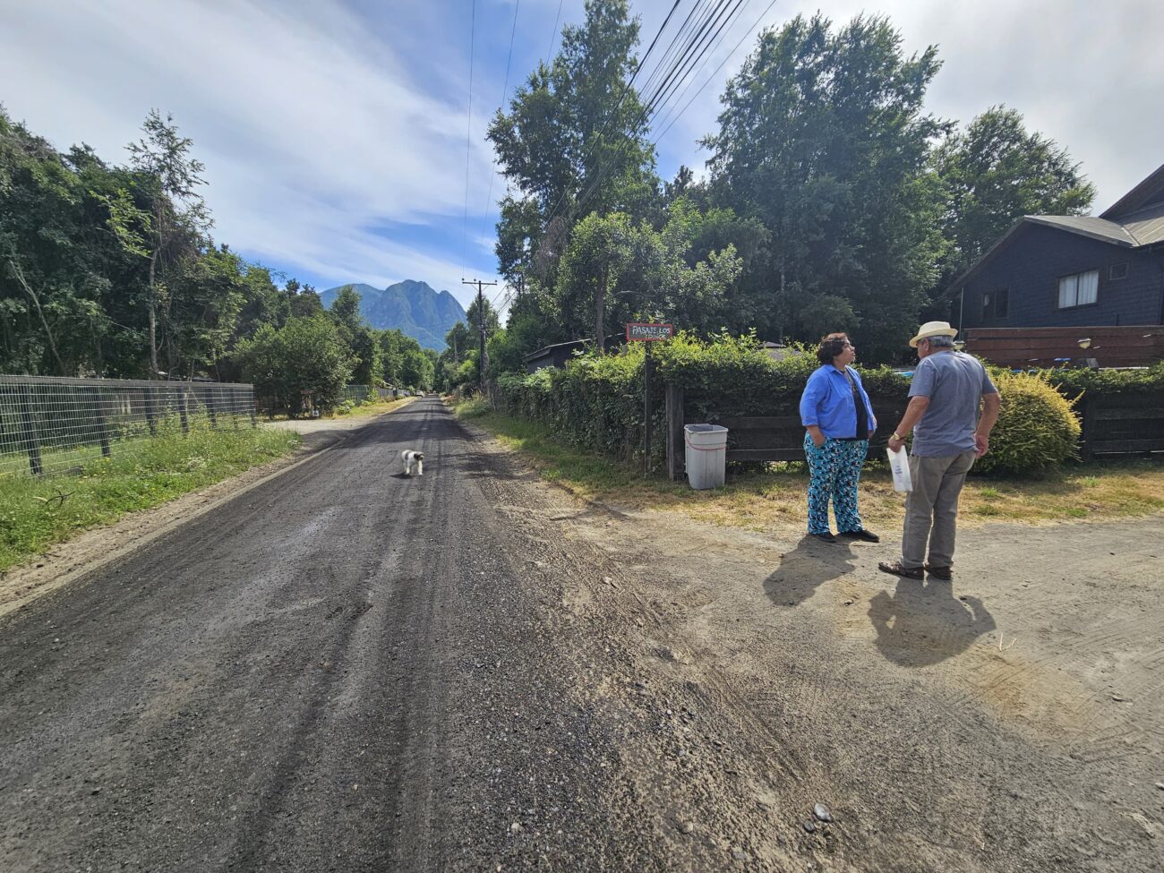 LA BISCHOFITA CONTRIBUYE A REDUCIR EL POLVO EN PUCÓN