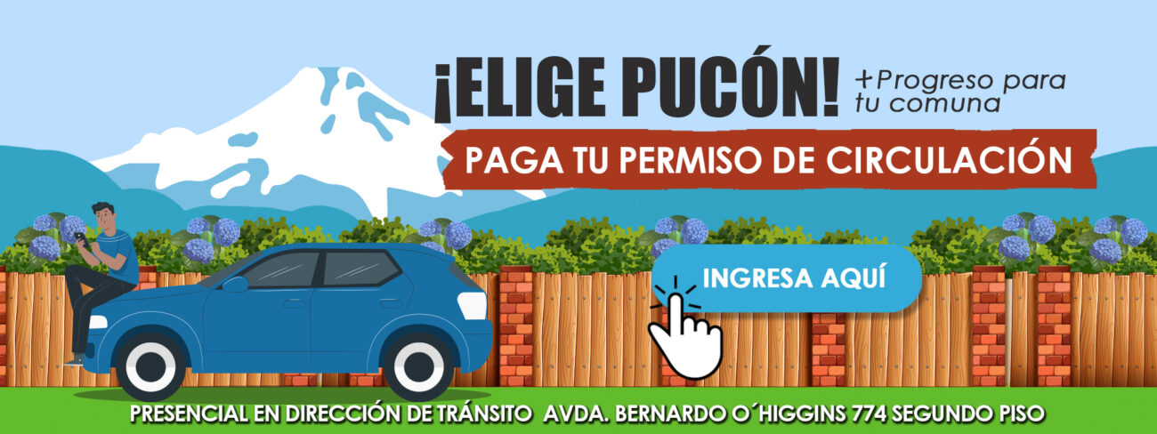 Permiso Circulación