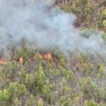 Municipalidad de Pucón coopera con apoyo logístico en el combate de incendios