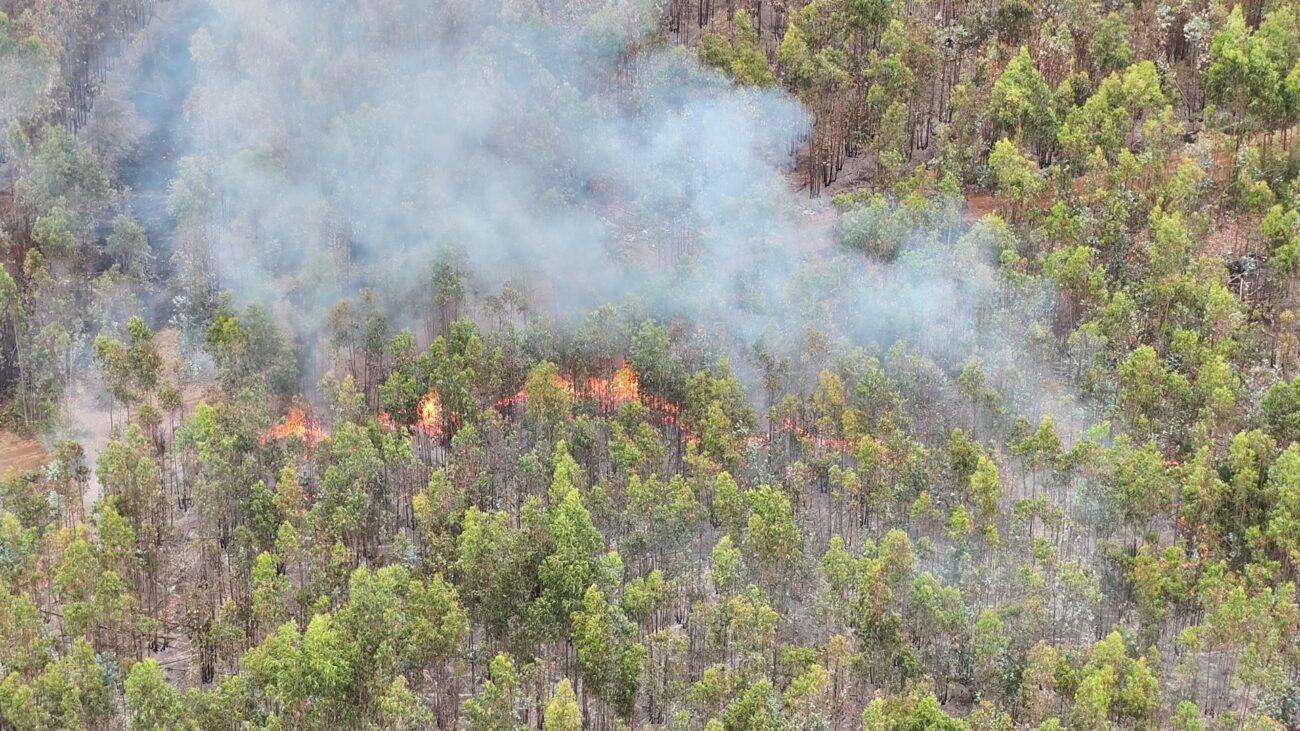Municipalidad de Pucón coopera con apoyo logístico en el combate de incendios