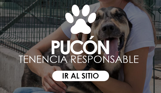 boton negro tenencia