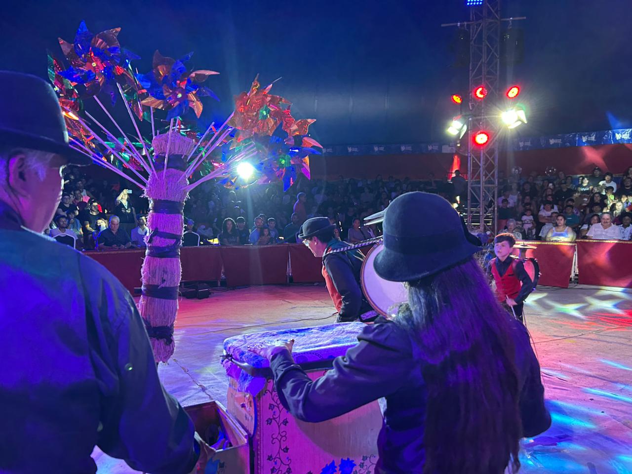 Amplio reconocimiento al patrimonio del circo, chinchineros, organilleros y cochayuyeros