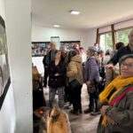 Pucón exhibe exposición que une arquitectura, cultura ancestral y pertinencia social