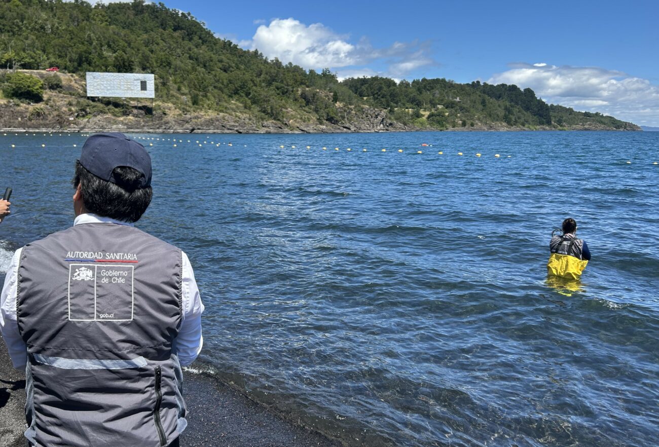 Reingreso a Contraloría del Plan de Descontaminación del Lago “va a ser en un corto plazo”