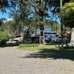 En Pucón invitan a la Semana Santa para disfrutar con la Ruta del Conejo de Pascua