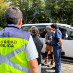 Llaman a la precaución: Dos murciélagos con rabia fueron detectados en Pucón