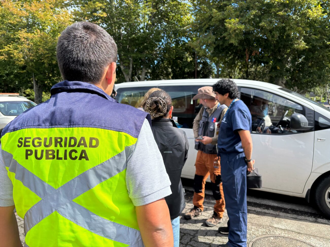 Llaman a la precaución: Dos murciélagos con rabia fueron detectados en Pucón