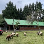 Sector rural de Quelhue tendrá nueva Posta de Salud