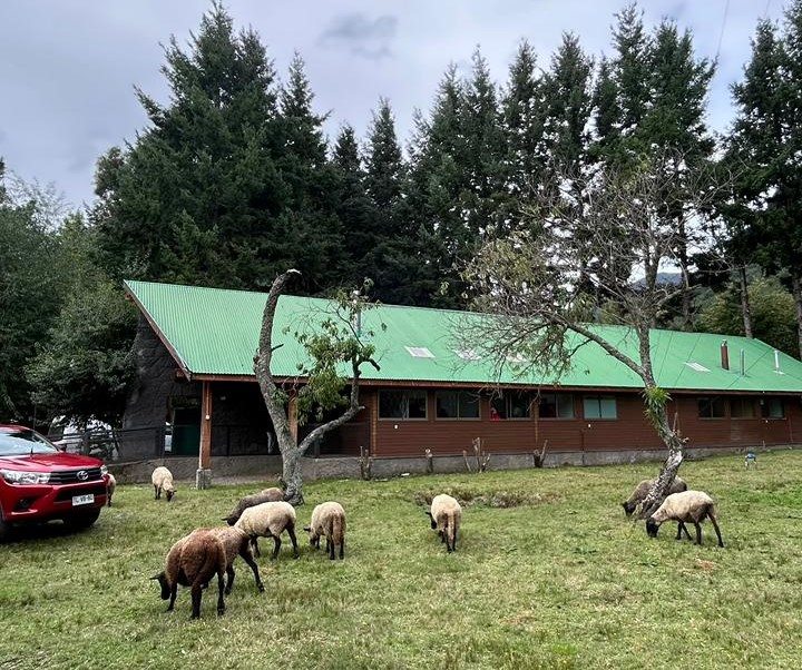 Sector rural de Quelhue tendrá nueva Posta de Salud