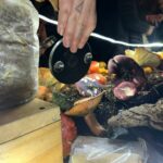 Festival Fungi 2026 reunió a más de 12 mil asistentes en Pucón