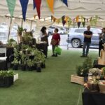 Se abrirá inédita Feria “Mercado Rural” de Pucón en céntrica Plaza Brasil