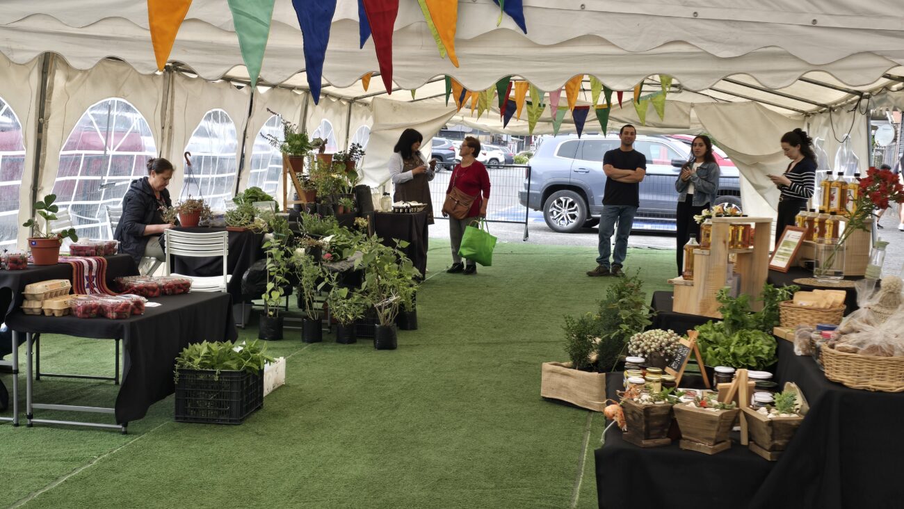 Se abrirá inédita Feria “Mercado Rural” de Pucón en céntrica Plaza Brasil