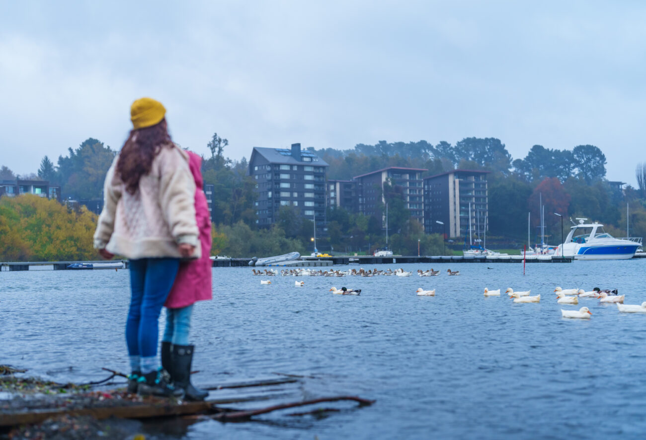 Pucón invita a vivir el invierno: Se lanza temporada 2026 con exposición en Temuco