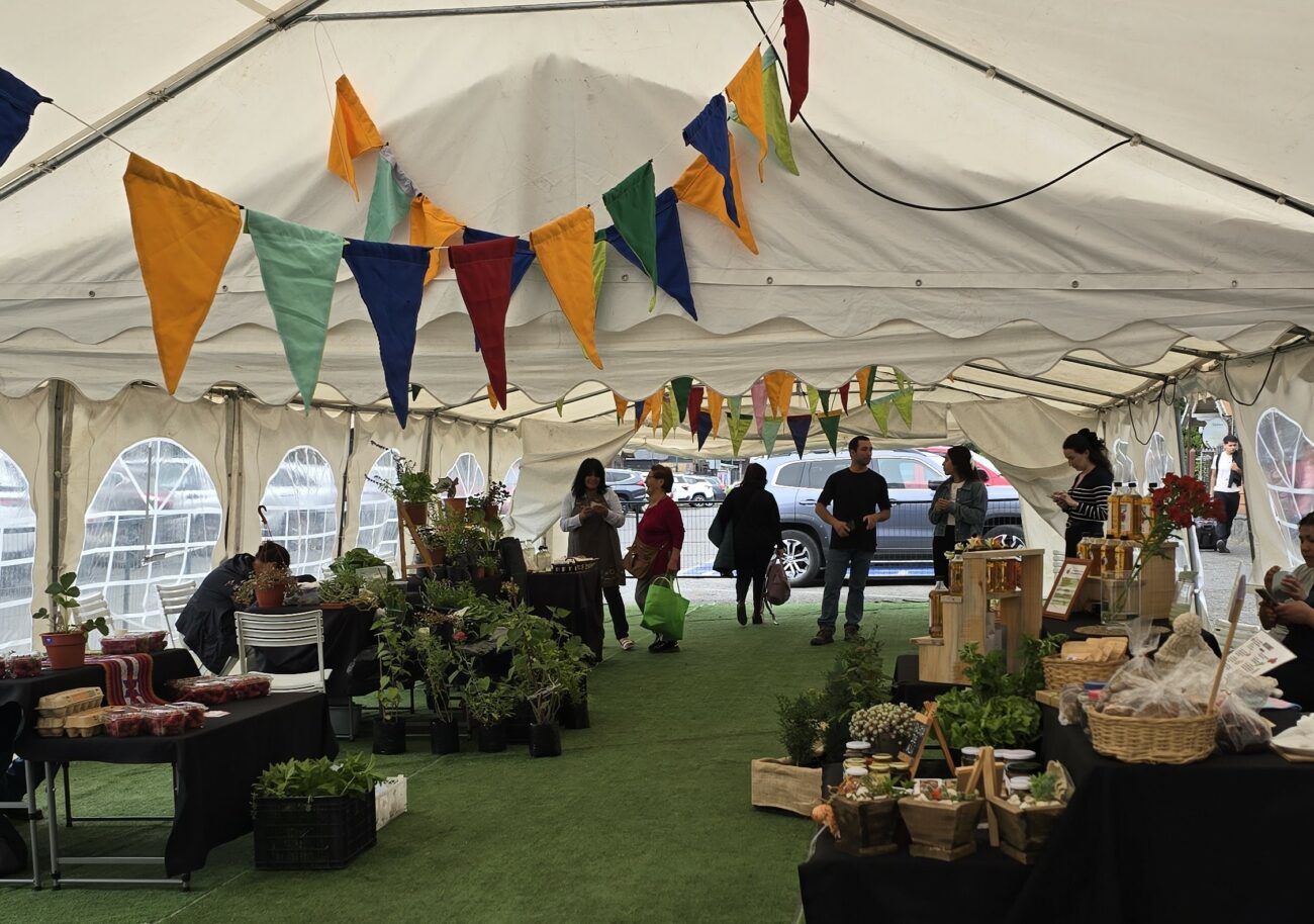 Inédita feria Mercado Rural de Pucón abrirá sus puertas este viernes 3 de julio