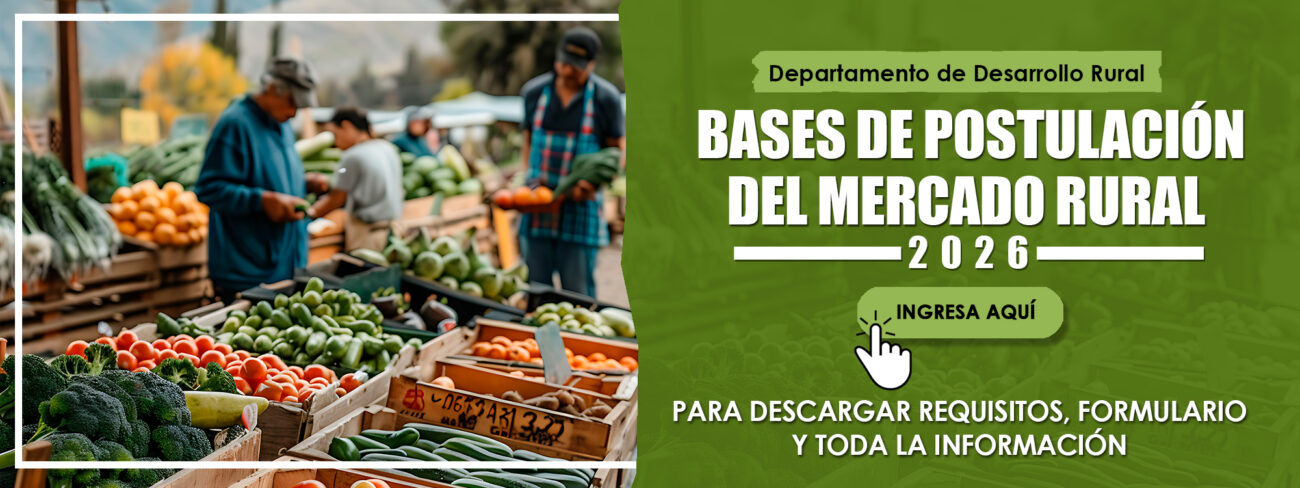 Mercado Rural