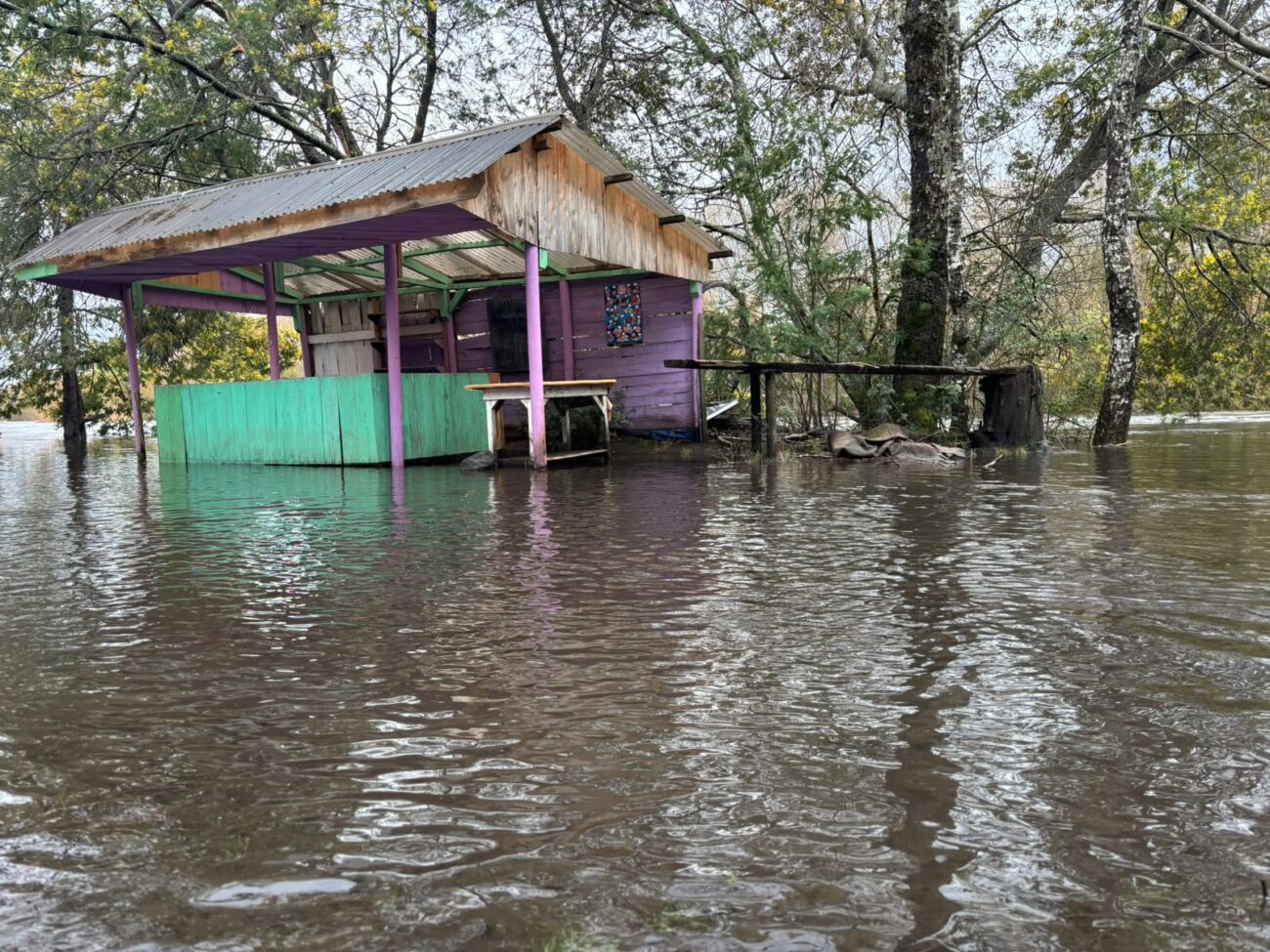 Equipos de emergencia enfrentan desborde parcial del Río Trancura
