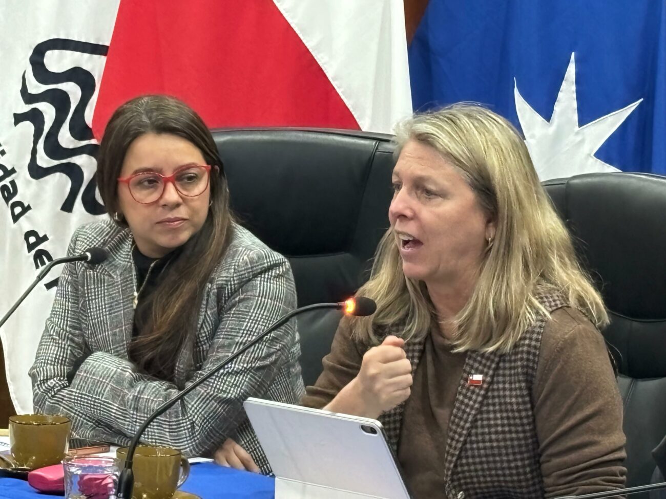 Subsecretaria de Turismo se compromete a reimpulsar actividad en Pucón y gestores locales aseguran potenciar el sector