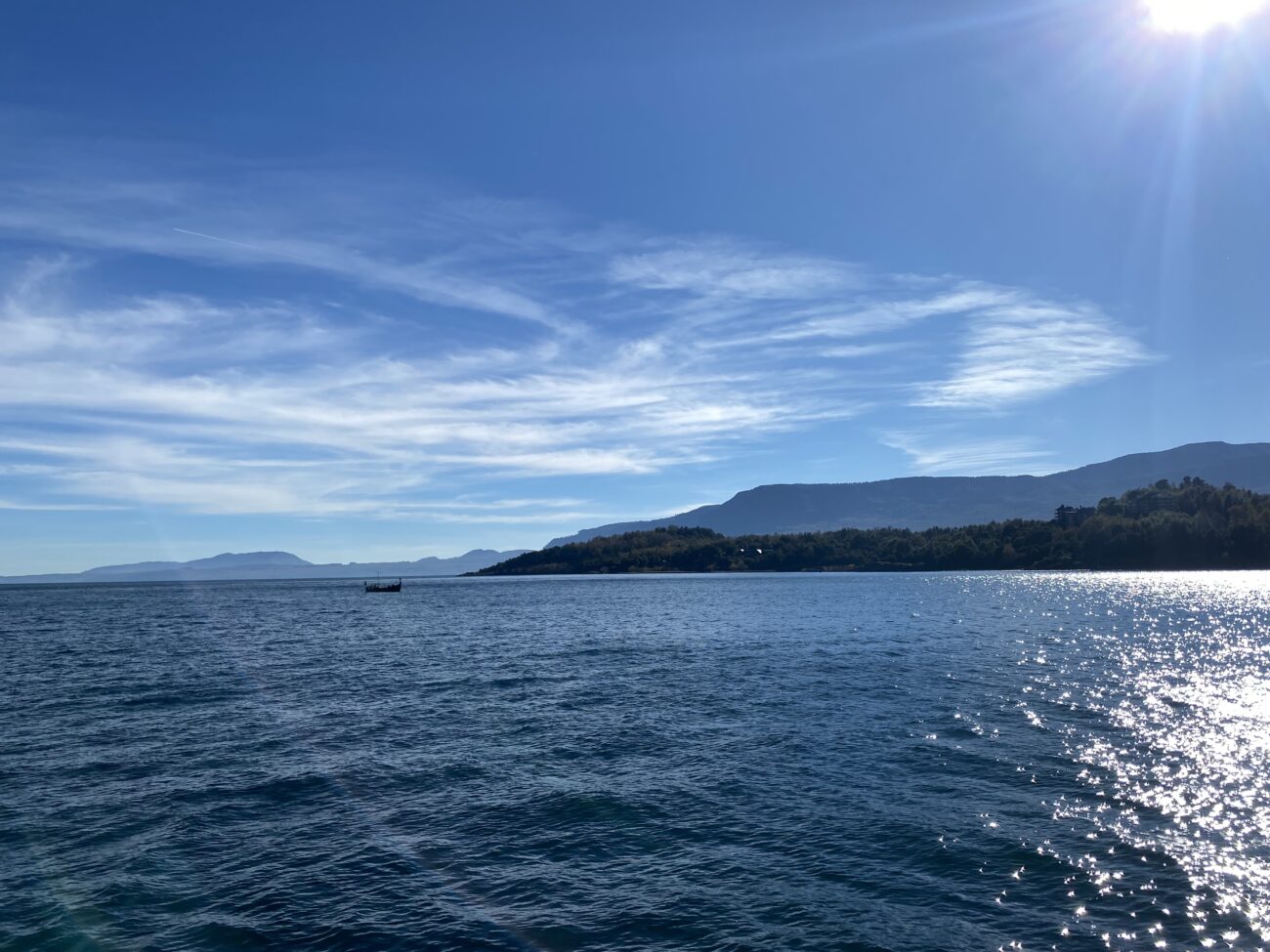 EN PUCÓN CELEBRAN EL AVANCE DEL PLAN DE DESCONTAMINACIÓN DEL LAGO VILLARRICA Y ENFATIZAN EN LA NECESIDAD DE TRABAJO CONJUNTO PÚBLICO-PRIVADO