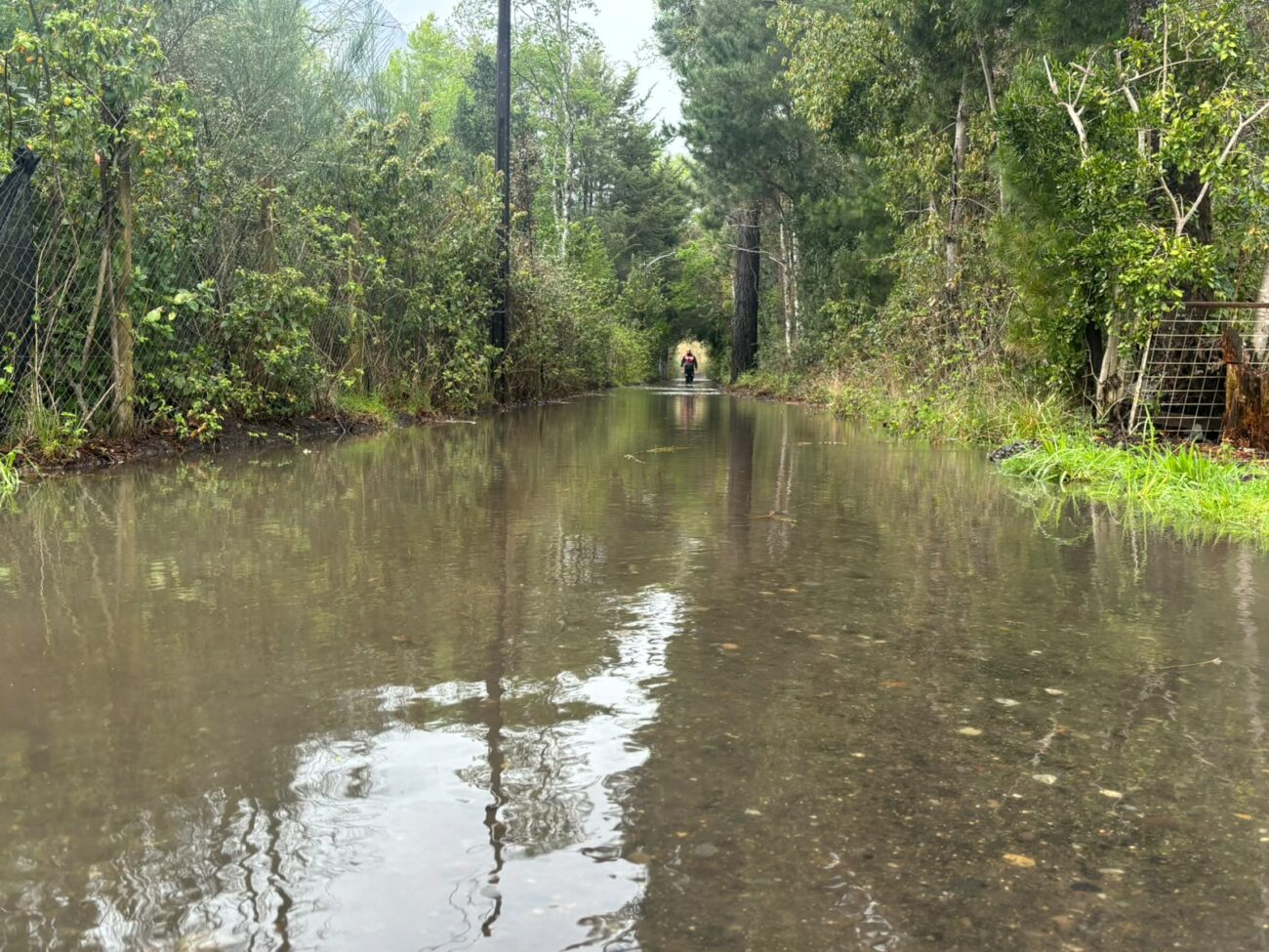 Pucón: Inundaciones afectaron a más de 500 viviendas de zonas rurales