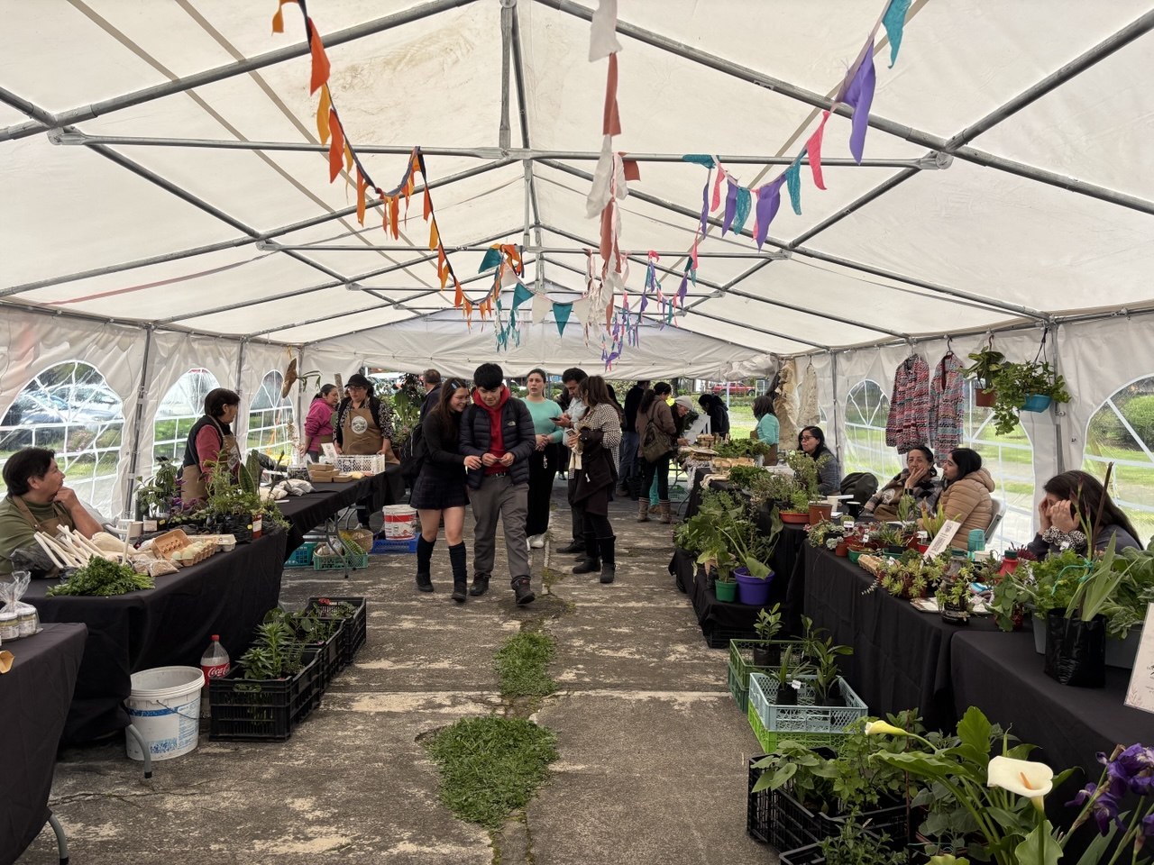 Exitosa Feria Mercado Rural llegó por primera vez a Pucón para quedarse